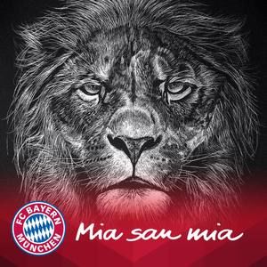 Meet your Posher, Jaden